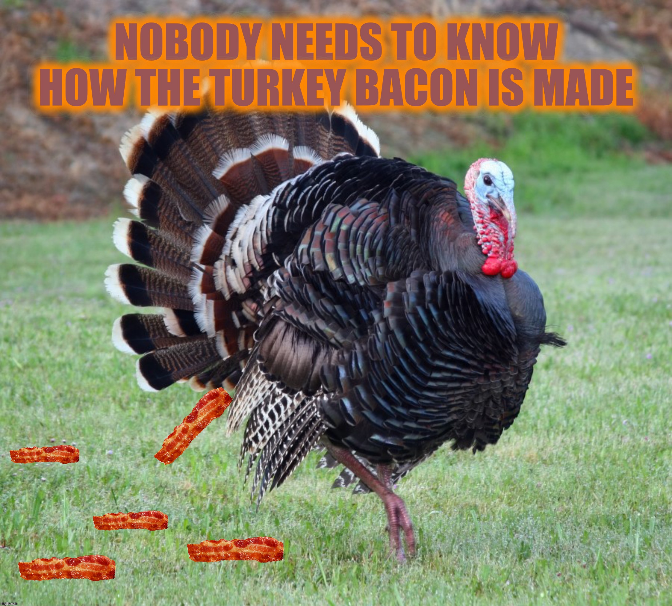 Happy Thanksgiving! | NOBODY NEEDS TO KNOW HOW THE TURKEY BACON IS MADE | image tagged in turkey bacon,bacon,turkey | made w/ Imgflip meme maker