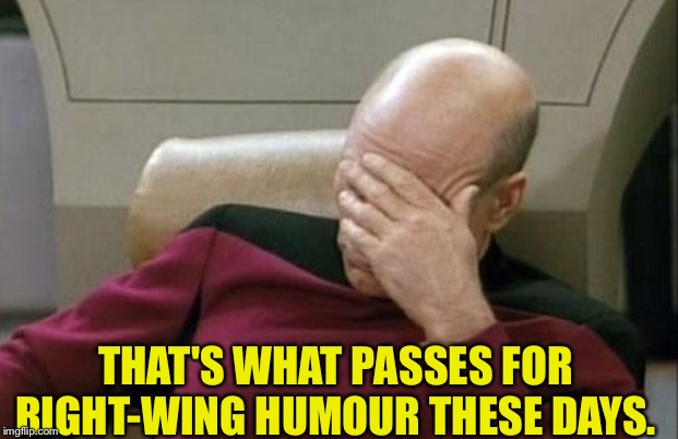Captain Picard Facepalm Meme | THAT'S WHAT PASSES FOR RIGHT-WING HUMOUR THESE DAYS. | image tagged in memes,captain picard facepalm | made w/ Imgflip meme maker