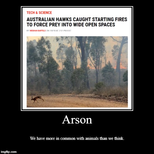 Arson | image tagged in funny,demotivationals,arson,intelligent life | made w/ Imgflip demotivational maker