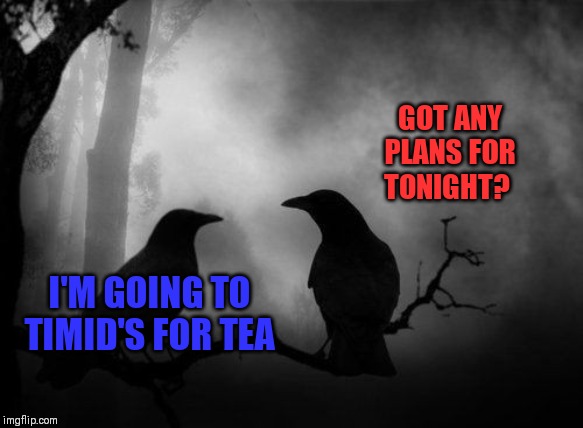 GOT ANY PLANS FOR TONIGHT? I'M GOING TO TIMID'S FOR TEA | made w/ Imgflip meme maker