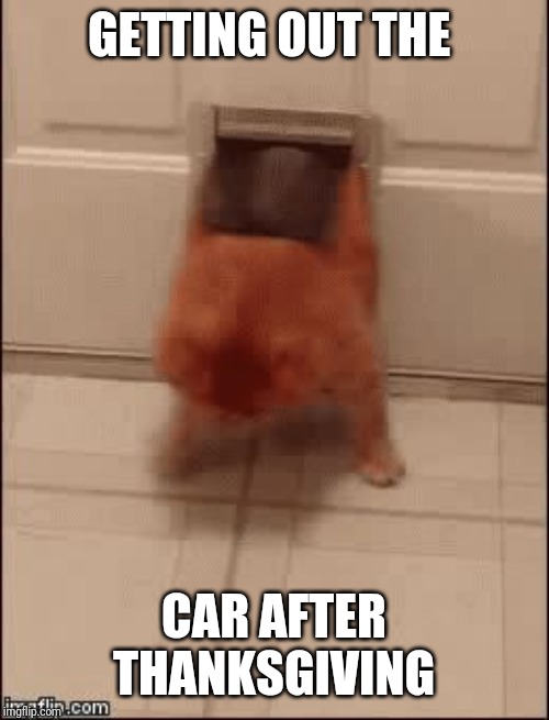 fat cat in door | GETTING OUT THE; CAR AFTER THANKSGIVING | image tagged in fat cat in door | made w/ Imgflip meme maker