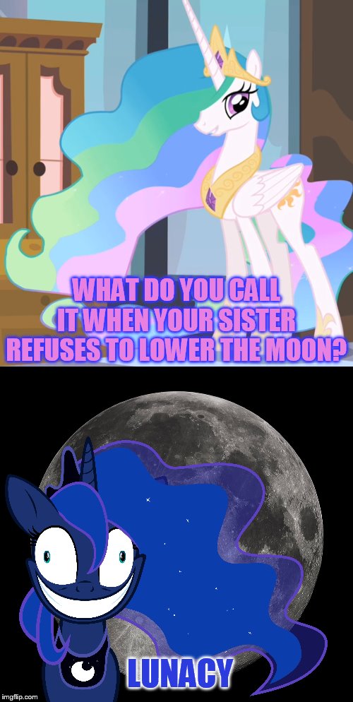 Thought I would try a meme. Hope I didn't mess up characters. | WHAT DO YOU CALL IT WHEN YOUR SISTER REFUSES TO LOWER THE MOON? LUNACY﻿ | image tagged in mlp,pony life,octavia_melody,memes | made w/ Imgflip meme maker