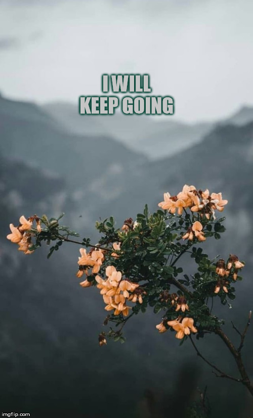 I Will Keep Going | I WILL KEEP GOING | image tagged in i will keep going | made w/ Imgflip meme maker