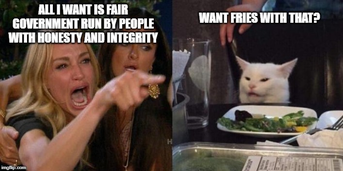 Woman Screaming at Cat |  ALL I WANT IS FAIR GOVERNMENT RUN BY PEOPLE WITH HONESTY AND INTEGRITY; WANT FRIES WITH THAT? | image tagged in woman screaming at cat | made w/ Imgflip meme maker