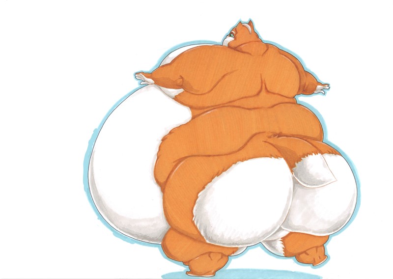 fat fox Blank Meme Template