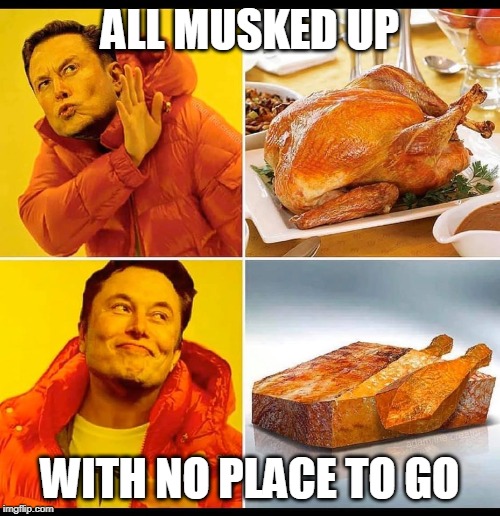 All Musked Up | ALL MUSKED UP; WITH NO PLACE TO GO | image tagged in elon musk,tesla,puns | made w/ Imgflip meme maker