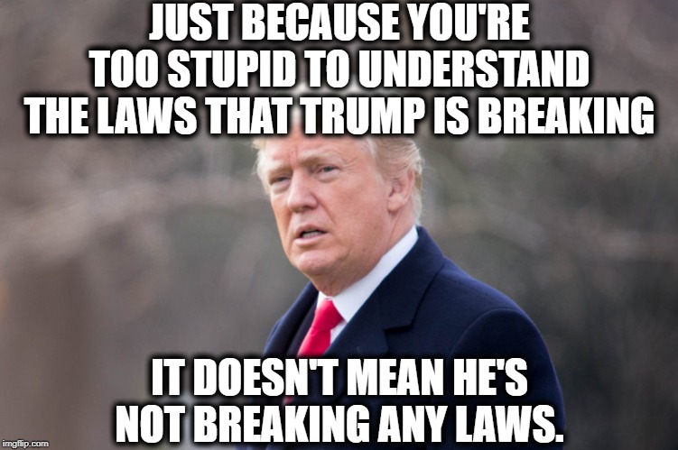 Idiocracy | JUST BECAUSE YOU'RE TOO STUPID TO UNDERSTAND THE LAWS THAT TRUMP IS BREAKING; IT DOESN'T MEAN HE'S NOT BREAKING ANY LAWS. | image tagged in donald trump,impeach trump,criminal,laws,traitor,treason | made w/ Imgflip meme maker