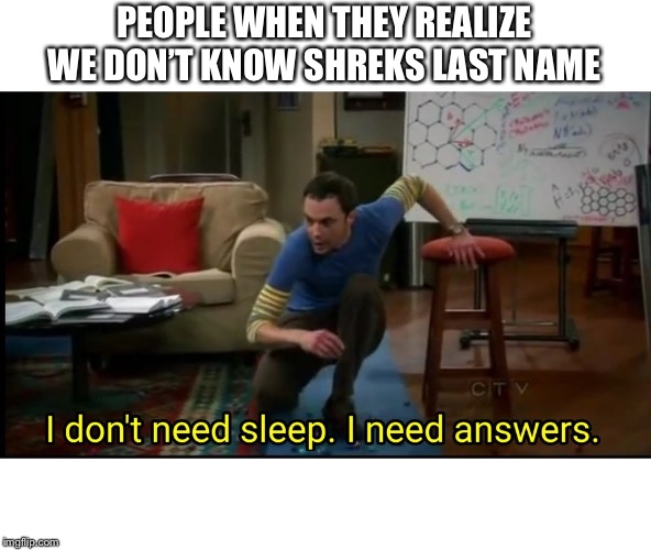 I don’t need sleep, I need answers | PEOPLE WHEN THEY REALIZE WE DON’T KNOW SHREKS LAST NAME | image tagged in i dont need sleep i need answers | made w/ Imgflip meme maker