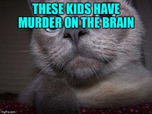 Freaky eye cat | THESE KIDS HAVE MURDER ON THE BRAIN | image tagged in freaky eye cat | made w/ Imgflip meme maker