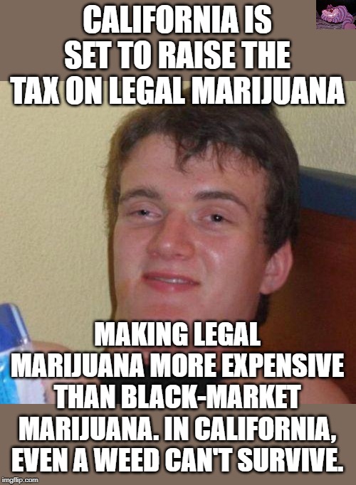When you constantly pass laws without thinking about the consequences. | CALIFORNIA IS SET TO RAISE THE TAX ON LEGAL MARIJUANA; MAKING LEGAL MARIJUANA MORE EXPENSIVE THAN BLACK-MARKET MARIJUANA. IN CALIFORNIA, EVEN A WEED CAN'T SURVIVE. | image tagged in stoned guy | made w/ Imgflip meme maker