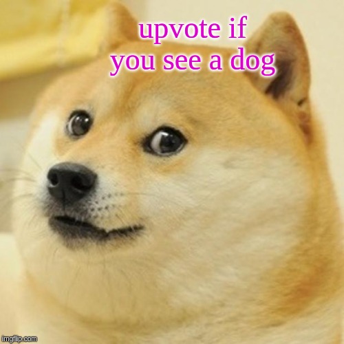 Doge | upvote if you see a dog | image tagged in memes,doge | made w/ Imgflip meme maker
