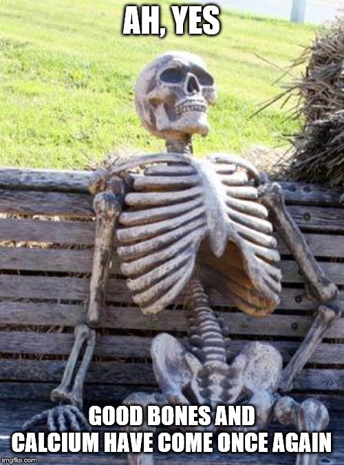 Waiting Skeleton Meme | AH, YES GOOD BONES AND CALCIUM HAVE COME ONCE AGAIN | image tagged in memes,waiting skeleton | made w/ Imgflip meme maker