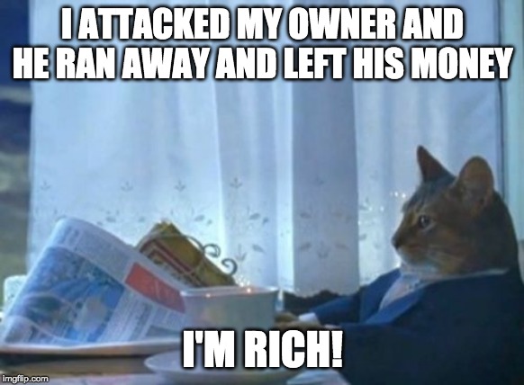 I Should Buy A Boat Cat | I ATTACKED MY OWNER AND HE RAN AWAY AND LEFT HIS MONEY; I'M RICH! | image tagged in memes,i should buy a boat cat | made w/ Imgflip meme maker
