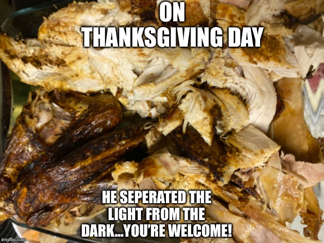 Light from dark | ON THANKSGIVING DAY; HE SEPERATED THE LIGHT FROM THE DARK...YOU’RE WELCOME! | image tagged in turkey,thanksgiving | made w/ Imgflip meme maker