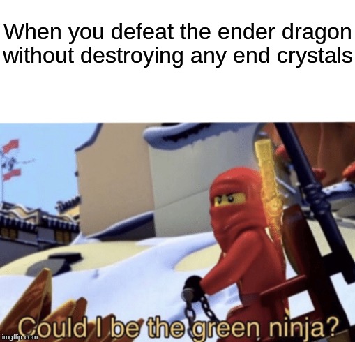 PRO SKILLZ! | When you defeat the ender dragon without destroying any end crystals | image tagged in could i be the green ninja,minecraft,memes | made w/ Imgflip meme maker