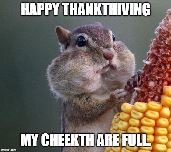 Thanksgiving Squirrel | HAPPY THANKTHIVING; MY CHEEKTH ARE FULL. | image tagged in thanksgiving squirrel | made w/ Imgflip meme maker