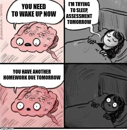 Trying to sleep | I'M TRYING TO SLEEP, ASSESSMENT TOMORROW; YOU NEED TO WAKE UP NOW; YOU HAVE ANOTHER HOMEWORK DUE TOMORROW | image tagged in trying to sleep | made w/ Imgflip meme maker
