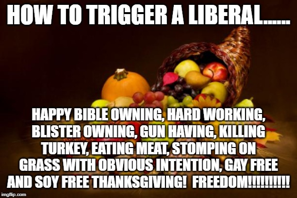 Thanksgiving | HOW TO TRIGGER A LIBERAL...... HAPPY BIBLE OWNING, HARD WORKING, BLISTER OWNING, GUN HAVING, KILLING TURKEY, EATING MEAT, STOMPING ON GRASS WITH OBVIOUS INTENTION, GAY FREE AND SOY FREE THANKSGIVING!  FREEDOM!!!!!!!!!! | image tagged in thanksgiving | made w/ Imgflip meme maker
