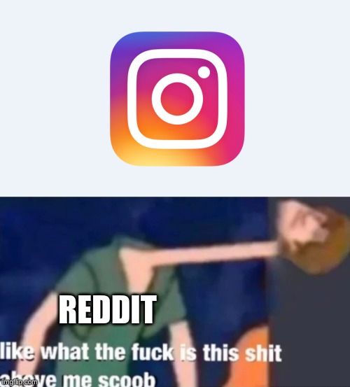 Whoever calls themselves a memer but only browses memes on Instagram is not a memer | REDDIT | image tagged in memes | made w/ Imgflip meme maker