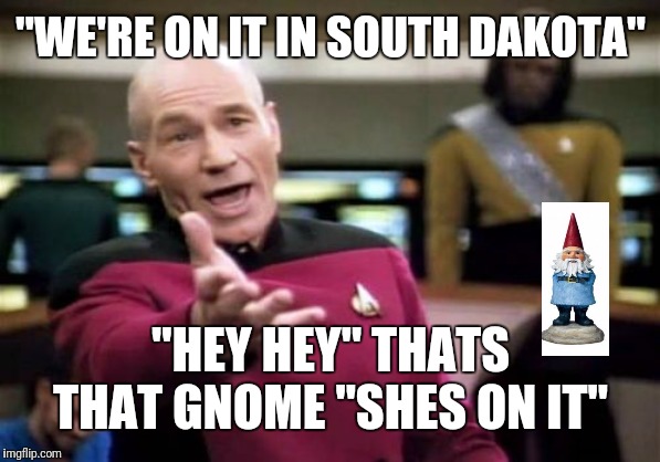 Picard Wtf | "WE'RE ON IT IN SOUTH DAKOTA"; "HEY HEY" THATS THAT GNOME "SHES ON IT" | image tagged in memes,picard wtf | made w/ Imgflip meme maker