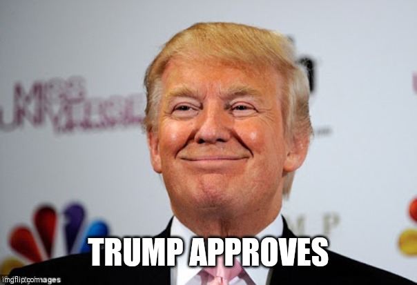 Donald trump approves | TRUMP APPROVES | image tagged in donald trump approves | made w/ Imgflip meme maker