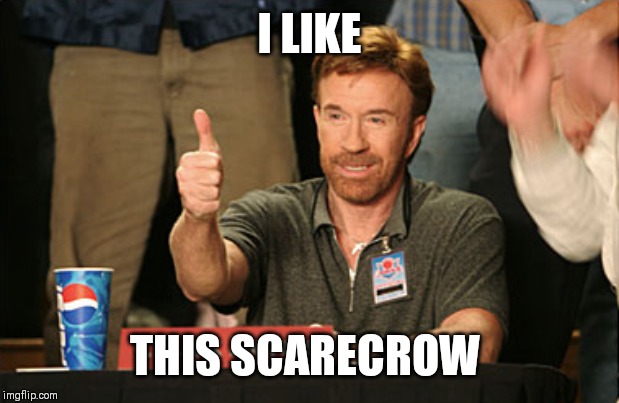 Chuck Norris Approves Meme | I LIKE THIS SCARECROW | image tagged in memes,chuck norris approves,chuck norris | made w/ Imgflip meme maker