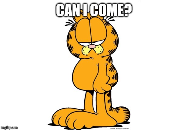 Grumpy Garfield | CAN I COME? | image tagged in grumpy garfield | made w/ Imgflip meme maker