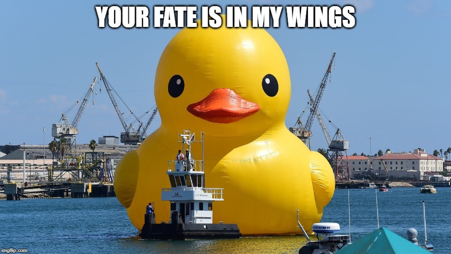 floating duck | YOUR FATE IS IN MY WINGS | image tagged in funny,memes,rubber ducks,ducks,tugboat,float | made w/ Imgflip meme maker