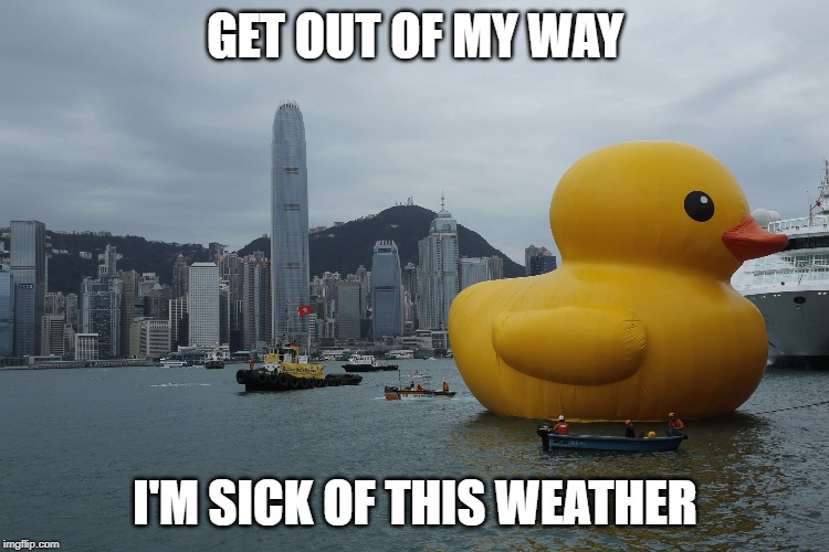 rubber duckie in hong kong | GET OUT OF MY WAY; I'M SICK OF THIS WEATHER | image tagged in giant rubber duck hong kong,funny,giants,memes,ducks | made w/ Imgflip meme maker