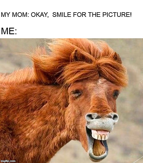 MY MOM: OKAY,  SMILE FOR THE PICTURE! ME: | image tagged in blank white template,horse,horses,picture,funy memes | made w/ Imgflip meme maker