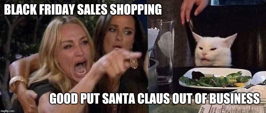 woman yelling at cat | BLACK FRIDAY SALES SHOPPING; GOOD PUT SANTA CLAUS OUT OF BUSINESS | image tagged in woman yelling at cat | made w/ Imgflip meme maker