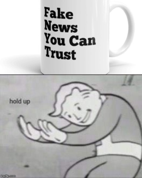 Fake news | image tagged in fallout hold up | made w/ Imgflip meme maker