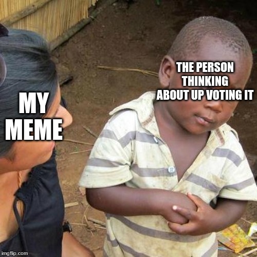 Third World Skeptical Kid | THE PERSON THINKING ABOUT UP VOTING IT; MY MEME | image tagged in memes,third world skeptical kid | made w/ Imgflip meme maker
