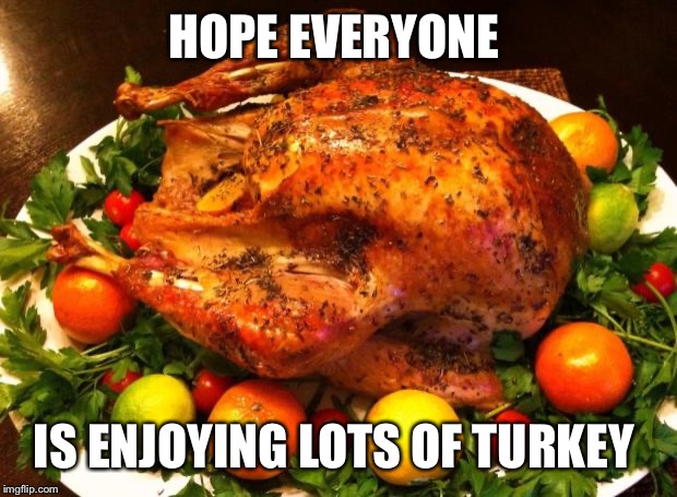 Roasted turkey | HOPE EVERYONE; IS ENJOYING LOTS OF TURKEY | image tagged in roasted turkey | made w/ Imgflip meme maker