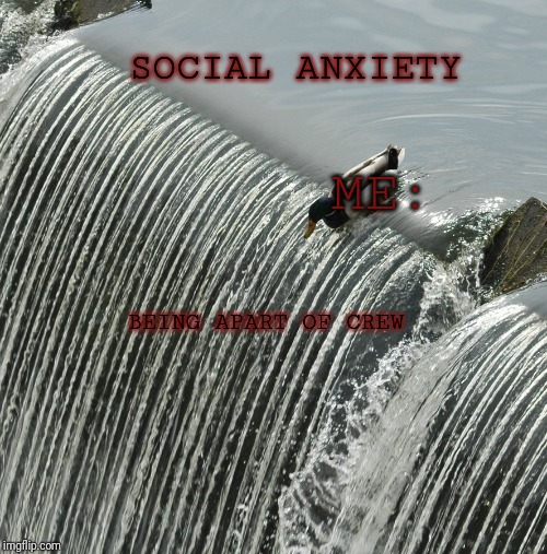 Duck over waterfall | SOCIAL ANXIETY; ME:; BEING APART OF CREW | image tagged in duck over waterfall | made w/ Imgflip meme maker