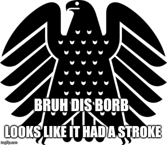 BRUH DIS B0RB; LOOKS LIKE IT HAD A STROKE | image tagged in reichstag,b0rb,stroke | made w/ Imgflip meme maker