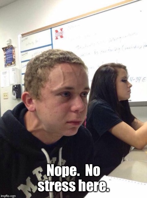 Straining kid | Nope.  No stress here. | image tagged in straining kid | made w/ Imgflip meme maker