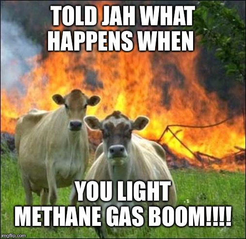 Evil Cows Meme | TOLD JAH WHAT HAPPENS WHEN; YOU LIGHT METHANE GAS BOOM!!!! | image tagged in memes,evil cows | made w/ Imgflip meme maker