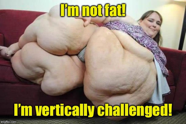 fat girl | I’m not fat! I’m vertically challenged! | image tagged in fat girl | made w/ Imgflip meme maker