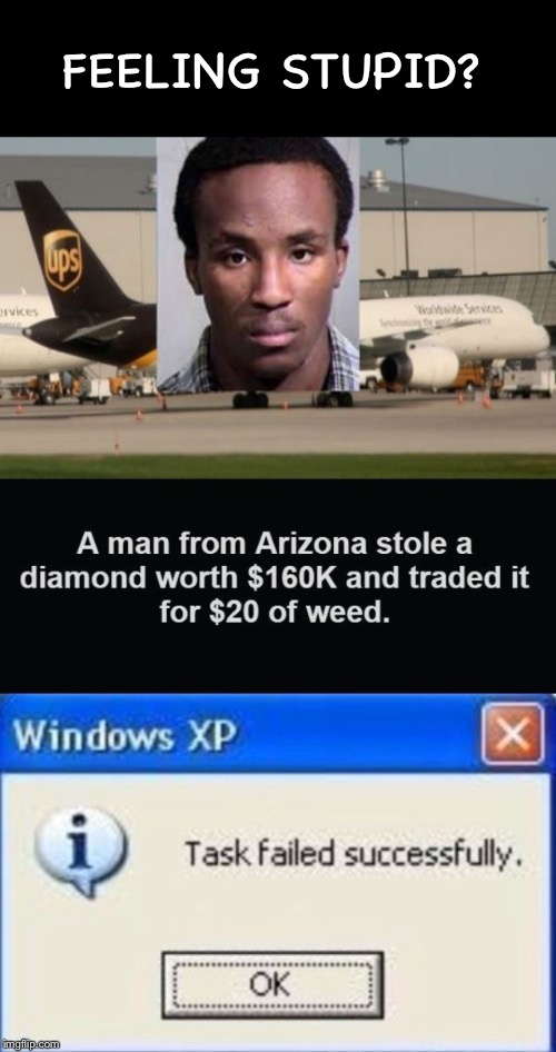 He must be from Florida... | FEELING STUPID? | image tagged in task failed successfully,stupid criminals,diamonds,weed,bad idea | made w/ Imgflip meme maker