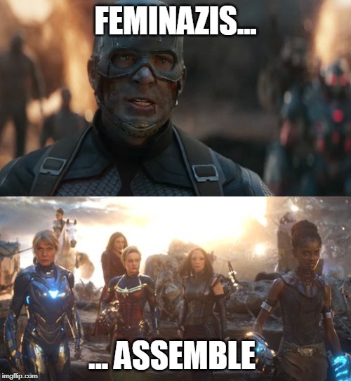 Feminist Rally #3162 (Marvel Edition) | FEMINAZIS... ... ASSEMBLE | image tagged in marvel,avengers endgame,endgame,feminazi,feminism | made w/ Imgflip meme maker