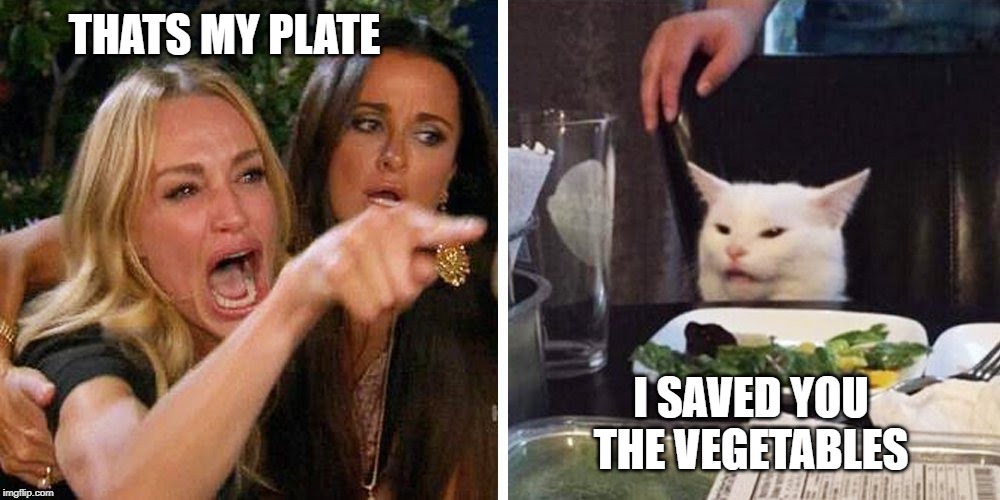Smudge the cat | THATS MY PLATE; I SAVED YOU THE VEGETABLES | image tagged in smudge the cat | made w/ Imgflip meme maker