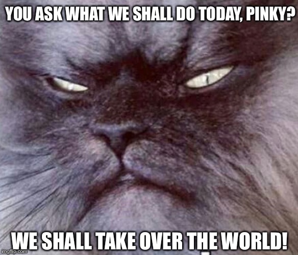 YOU ASK WHAT WE SHALL DO TODAY, PINKY? WE SHALL TAKE OVER THE WORLD! | made w/ Imgflip meme maker