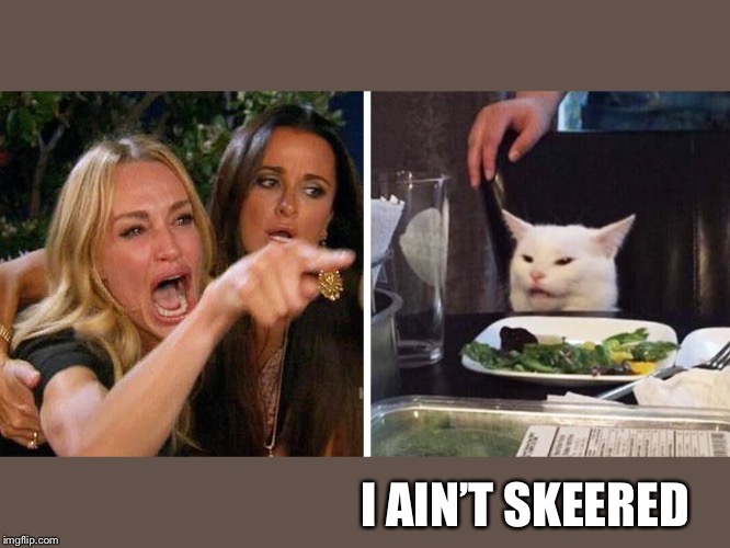 Smudge the cat | I AIN’T SKEERED | image tagged in smudge the cat | made w/ Imgflip meme maker