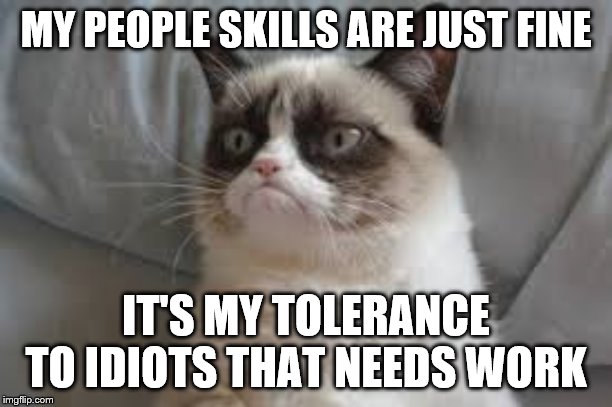 Grumpy cat | MY PEOPLE SKILLS ARE JUST FINE; IT'S MY TOLERANCE TO IDIOTS THAT NEEDS WORK | image tagged in grumpy cat | made w/ Imgflip meme maker