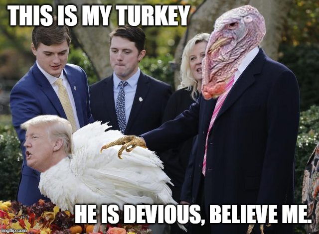 As sly and wicked as he is delicious. | THIS IS MY TURKEY HE IS DEVIOUS, BELIEVE ME. | image tagged in pardoning all the turkeys | made w/ Imgflip meme maker