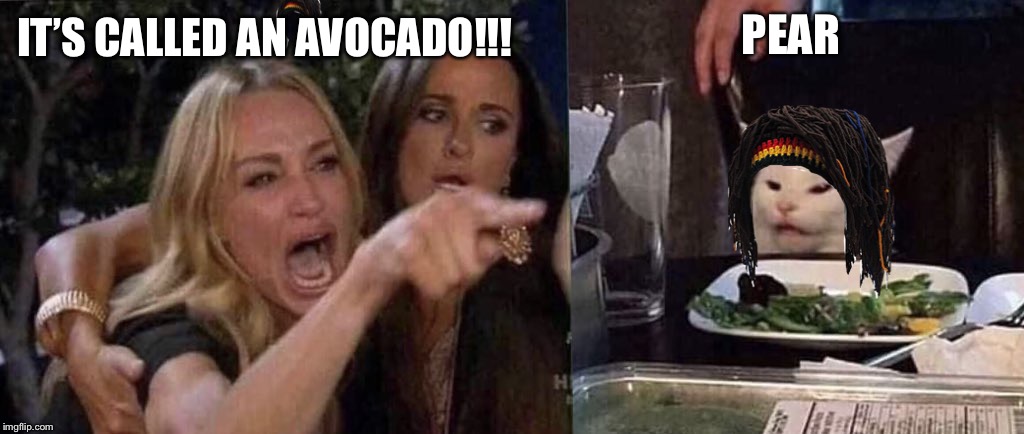 woman yelling at cat | PEAR; IT’S CALLED AN AVOCADO!!! | image tagged in woman yelling at cat | made w/ Imgflip meme maker