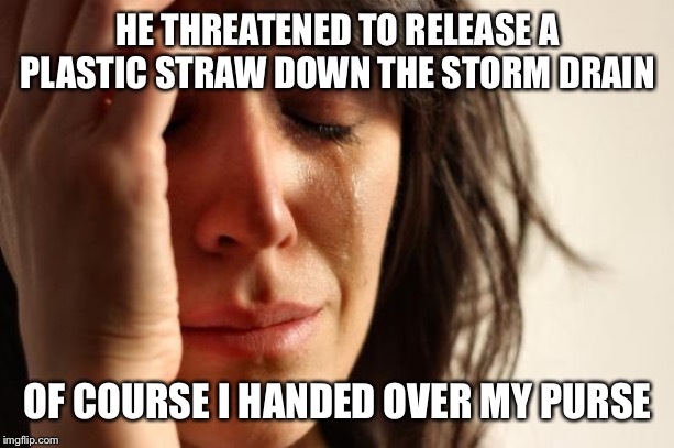 First World Problems | HE THREATENED TO RELEASE A PLASTIC STRAW DOWN THE STORM DRAIN; OF COURSE I HANDED OVER MY PURSE | image tagged in memes,first world problems | made w/ Imgflip meme maker