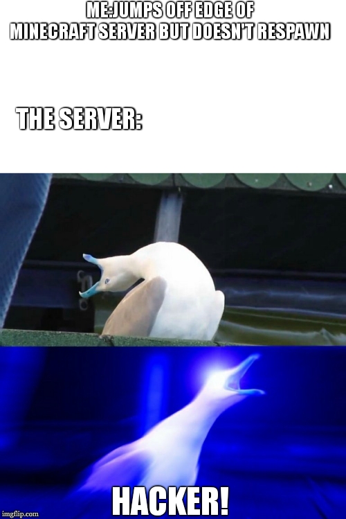 true story | ME:JUMPS OFF EDGE OF MINECRAFT SERVER BUT DOESN'T RESPAWN; THE SERVER:; HACKER! | image tagged in boy seagull | made w/ Imgflip meme maker