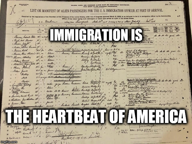 IMMIGRATION IS; THE HEARTBEAT OF AMERICA | image tagged in immigration,diversity | made w/ Imgflip meme maker